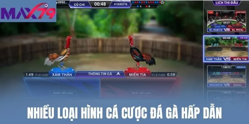 Nhiều loại hình cá cược đá gà hấp dẫn
