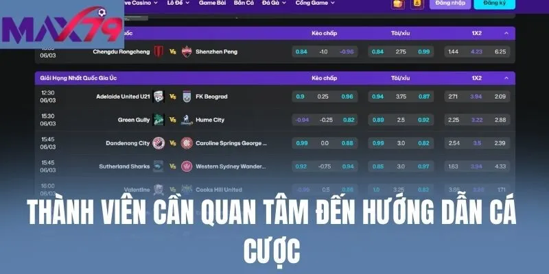 Thành viên cần quan tâm đến hướng dẫn cá cược
